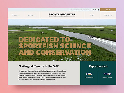 Sportfish Center design drupal fish header interface layout sport ui ux web design website