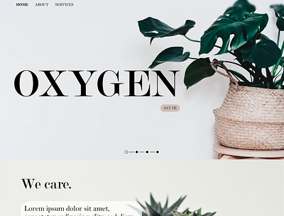 Oxygen ado adobexd artboard branding design ui