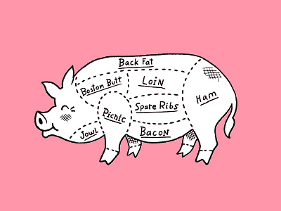 Pork Cuts bacon butcher cuts food ham meat pig pork