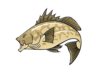Sea Bass bass fish fishing sea bass