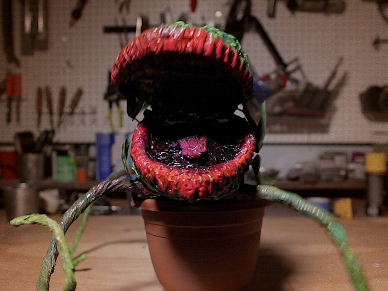 Feed Me 3 video puppet audrey ii little shop of horrors