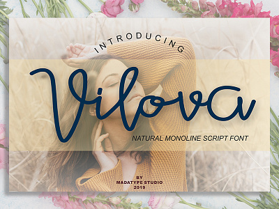 Vilova monoline font