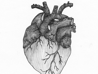 Heart (2016) art design drawing graphic graphic art graphic design heart illustration