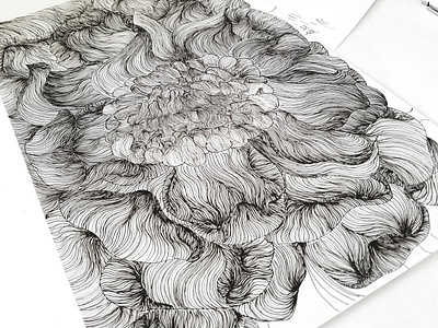 My hairy flower art graphic design illustration