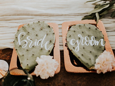 Cactus | Bohemian Wedding | Hand Lettering