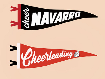 Nararro Cheer branding cheer cheerleading design fun fun project go sports navarro cheer navarro cheerleading rebound sports sports branding weekly warm up