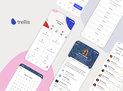 Trellis Professional Mentoring App app branding clean design experience identity ios mentor minimal typography