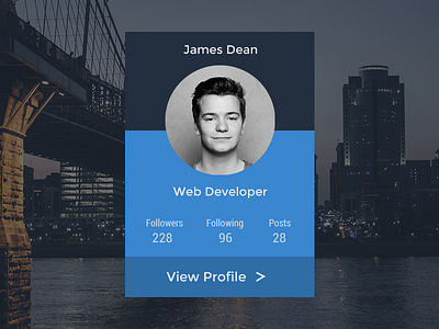 User Profile | Internal App