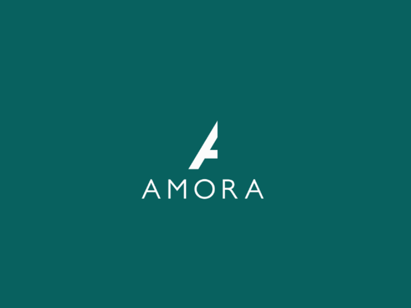 Amora logo by David Chtistian on Dribbble