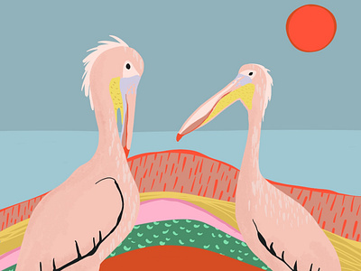 Pink Pelicans app illustration procreate app