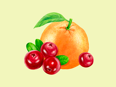 Fruit Illustration beverage brushes cranberries drink fruit illustration label leaves lemonade orange packaging