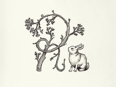 Branch And Bunny branch bunny hand drawn illustration ink sketch typography wood