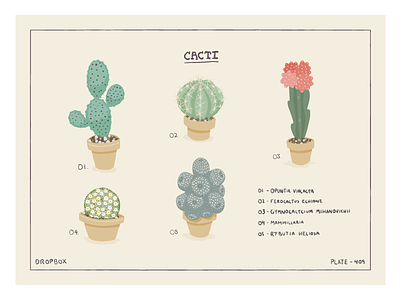 Cacti cacti hand drawn icon illustration nature plants pointy vector