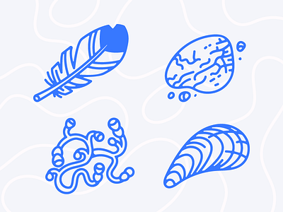 Beach Finds beach feather icons illustrations plant rock shell vector 🌴