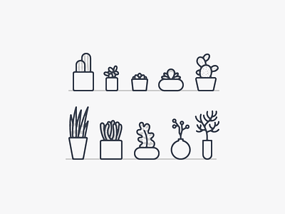 Operator Plant Icons cactus icons illustration nature plants succulent vector