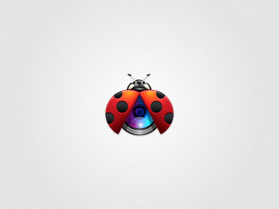Ladybug lens