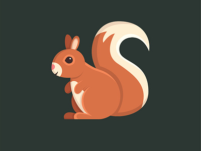 Squirrel design icon illustration symbol vector