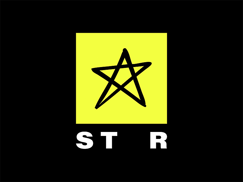 Star Studio Logo Design beauty branding color logo makeup michigan salon square star studio ypsilanti