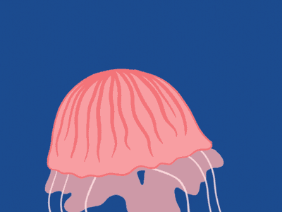 Jellyfish 2danimation celanimation criswiegandt illustration jellyfish ocean underwater