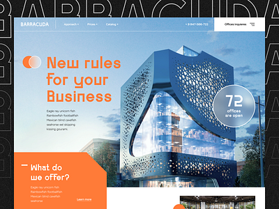 BarracudaBC architecture landing landingpage ui uiux ux web webdesign