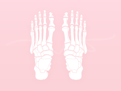 Bones minimal skeleton health illustratrion scytale bones