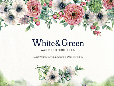 White&Green. Watercolor anemone set anemone berries branch design eucalyptus floral florist flower illustrations leaves lettering pattern plant ranunculus rose succulent watercolor watercolor art watercolor illustration wreath