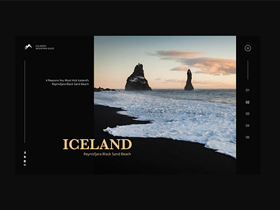 Black Beaches of Iceland