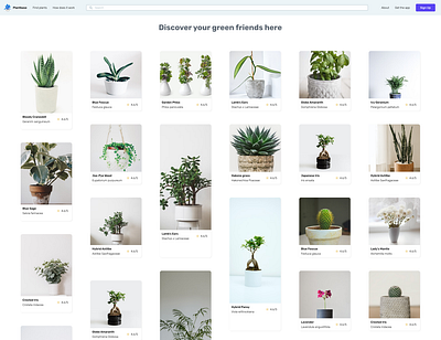 Plantbase - Online space to purchase plants auto layout autolayout ecommerce store figma online online store pablostanley plantbase plants plants store purchase ui uidesign