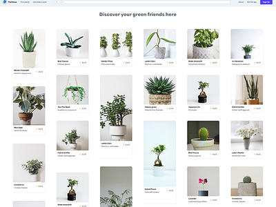 Plantbase - Online space to purchase plants auto layout autolayout ecommerce store figma online online store pablostanley plantbase plants plants store purchase ui uidesign