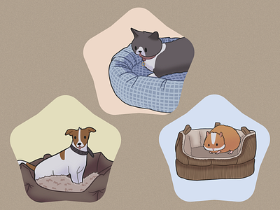 Beds for pets illustrations