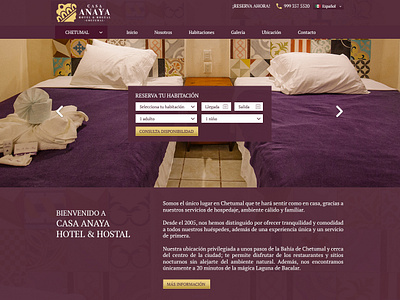 Casa Anaya design illustration ui ux web website