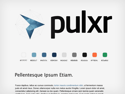 Pulxr Style Guide colors guide logo palette pulxr style typography
