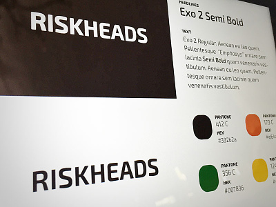 RISKHEADS light revamp details colors guide identity logo style