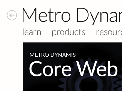 Metro Dynamis website redesign