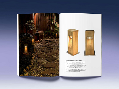 Digital Designer Lights Brochure