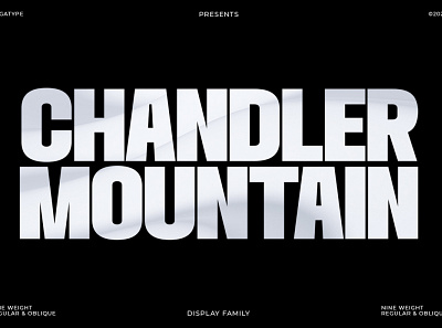 Chandler Mountain banner bold branding cover design display font fonts logo modern poster retro sans serif social media tv vintage wedding youtube cover