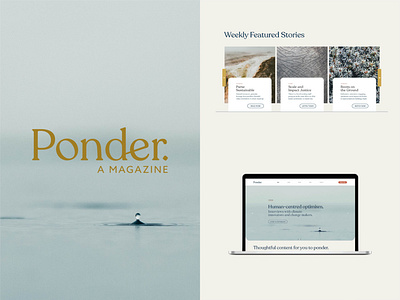 Ponder - Branding + Web Design (Concept)