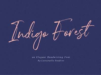 Indigo Forest Font calligraphy calligraphy and lettering artist creativemarket dafont design font font collection handwriting lettering modern myfonts script typography