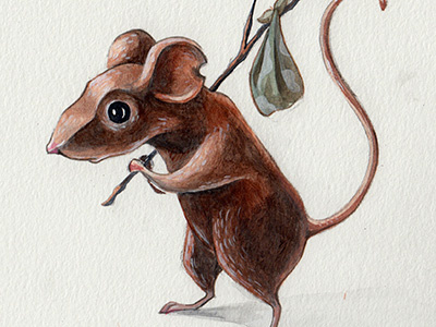 Mouse acrylic character design childrens book illustration mouse watercolor