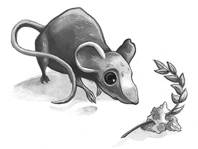 Curious Mouse acrylic animal book character design childrens book drawing illustration mouse pencil watercolor