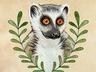 Lemur animal drawing illustration lemur painting watercolor