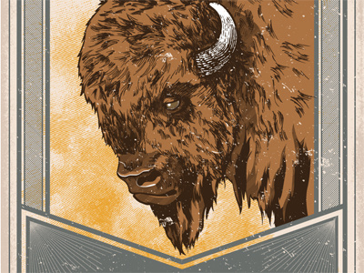 Buffalo bison buffalo drawing gig poster texture