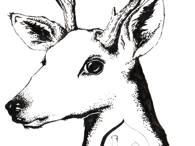 Deer Drawing deer drawing illustration ink