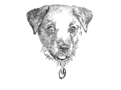 Puppy birthday black and white business illustration design digital art digital illustration dog graphic design illustration minimalist pen and ink pet portrait portrait puppy sketch