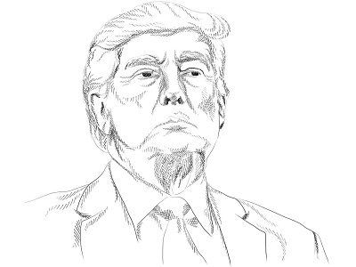 Donald Trump business illustration design digital art digital illustration donald trump illustration impeachment pen and ink politician portrait portrait illustration sketch
