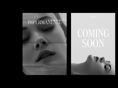 Impermanence Posters