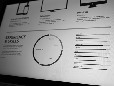 Experience and Skills Wireframes