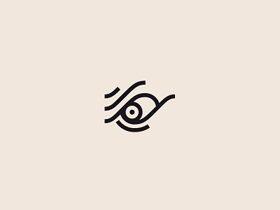 Eye angry eye logo observer