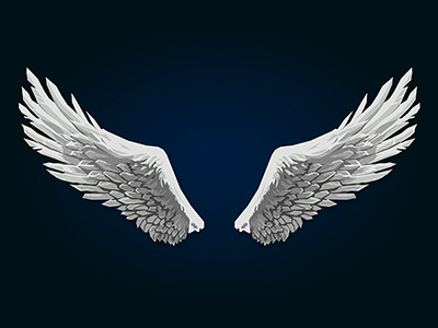 Wings illustration vector