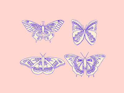 Butterfly Illustration art butterfly design draw drawing fineline illustration procreate procreateapp